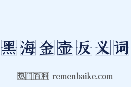 黑海金壶反义词是什么意思的图片